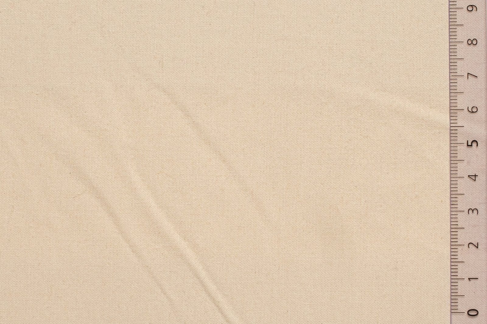 08KABVAR000ECRxxxCOT[CABOT HEAVY] (ECRU)F